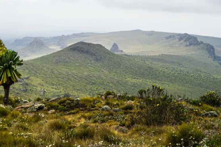 Aberdare National Park