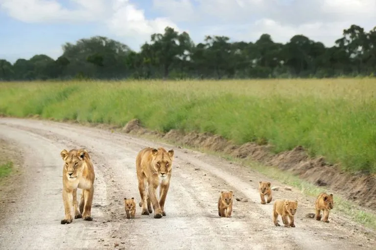 Best places to visit in Kenya