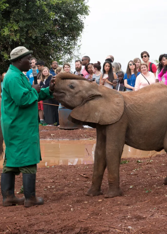 David Sheldrick Wildlife
