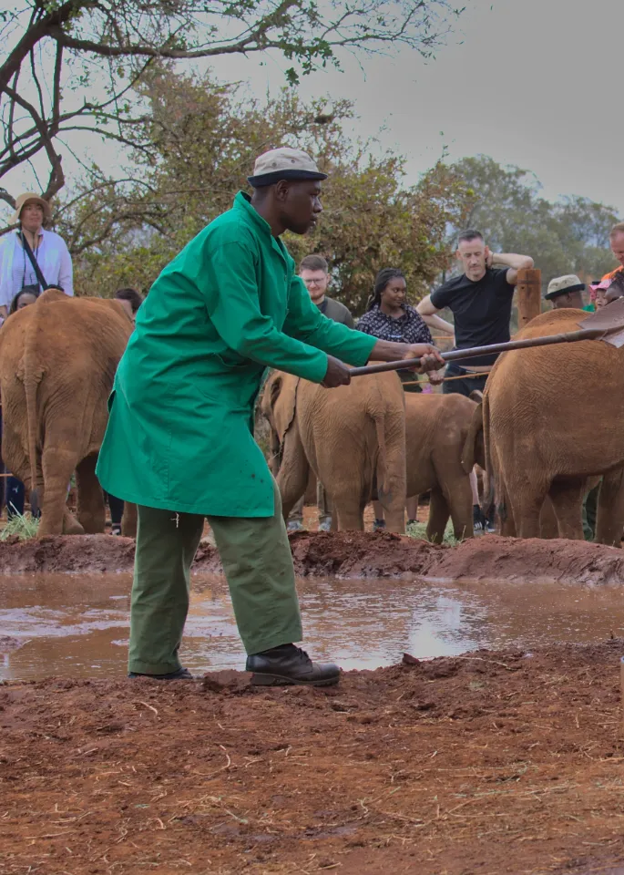 David Sheldrick Wildlife