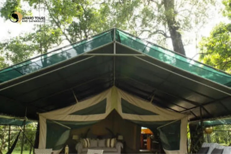 Kenya Safari Camps