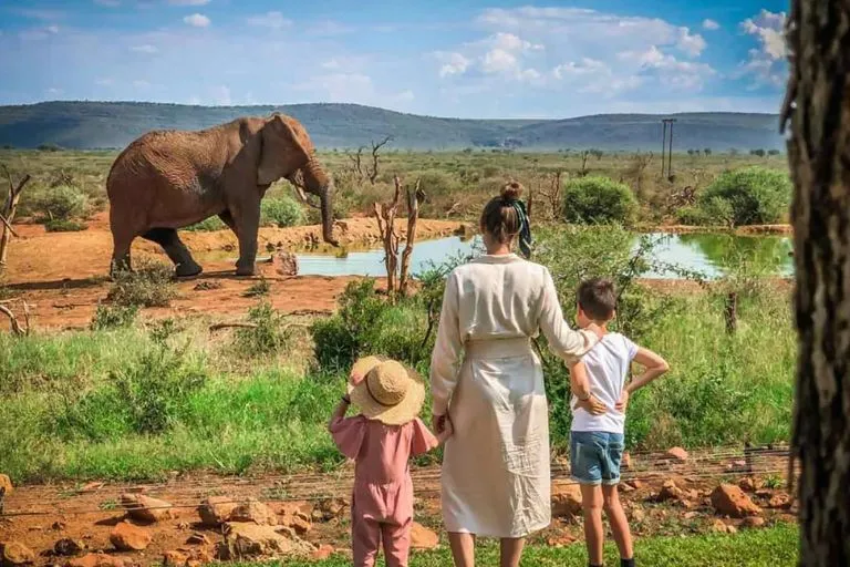 Family Safaris In Kenya