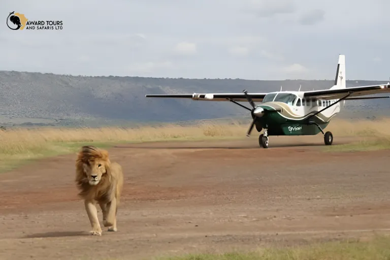 Flights To Kenya