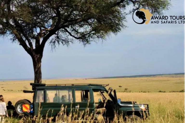 Kanya Safari Tours
