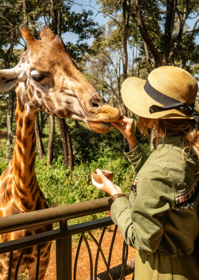 Giraffe Centre 