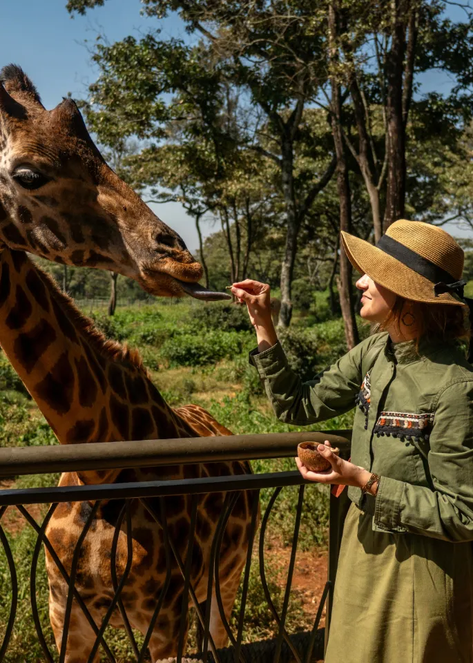 Giraffe Centre 