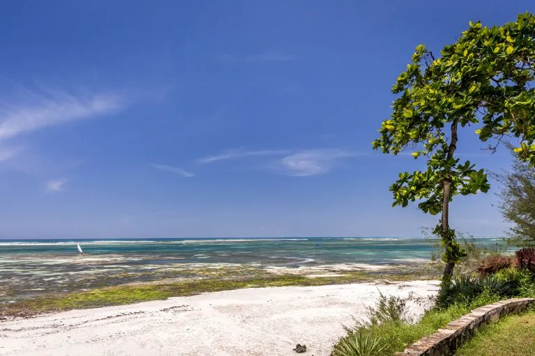 Kenya Beach