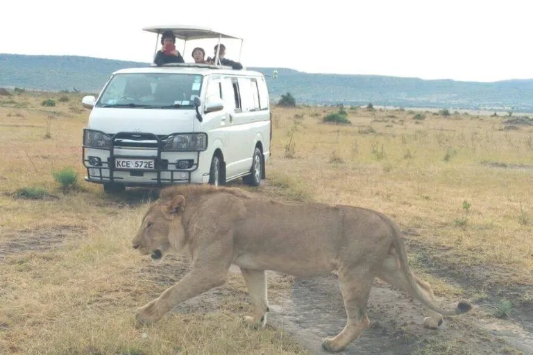 Kenya Safari Tours