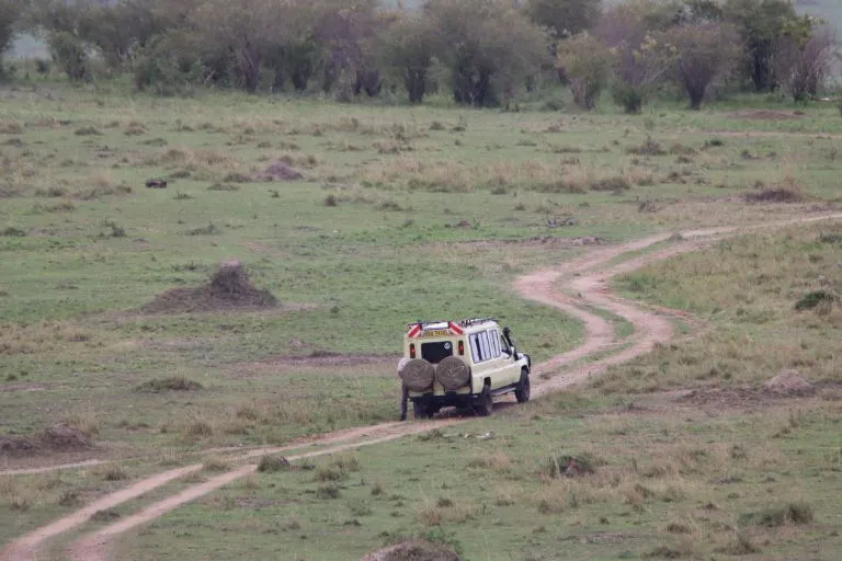 Kenya Safari