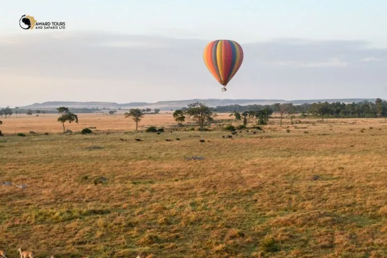 Kenya Wildlife