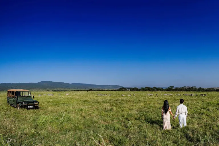 Lewa Downs