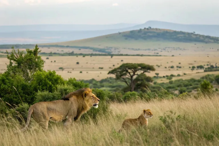 Maasai Mara National Reserve