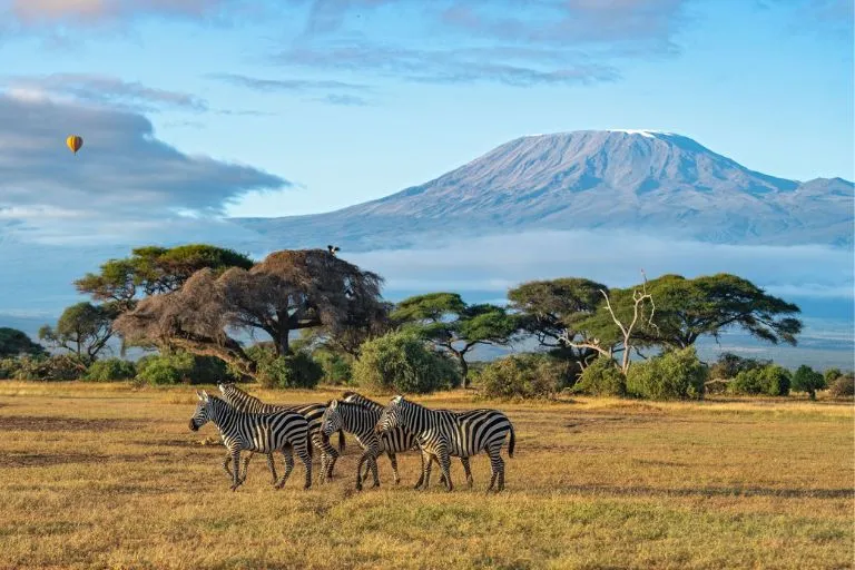 Mount Kenya Wilds