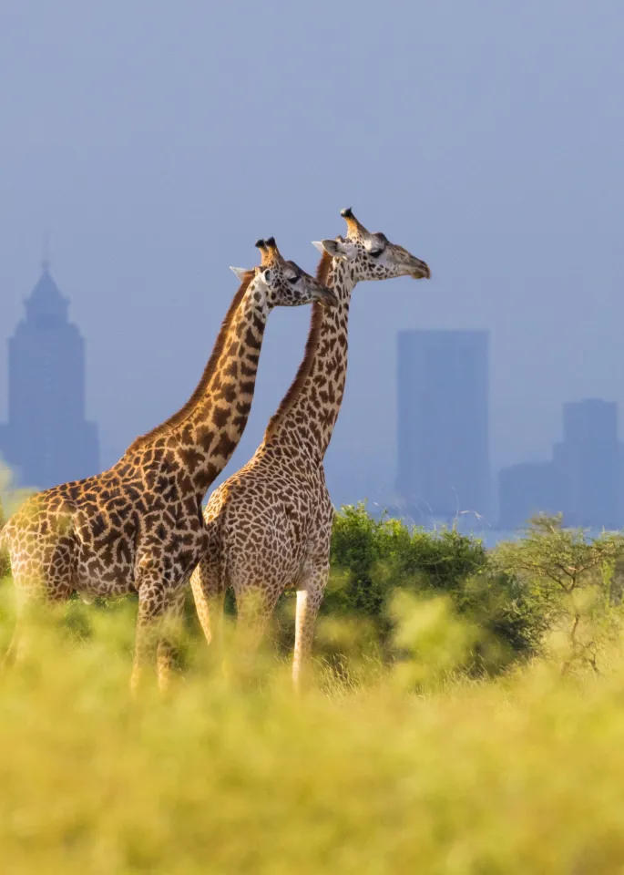 Nairobi