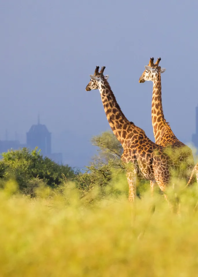 Nairobi