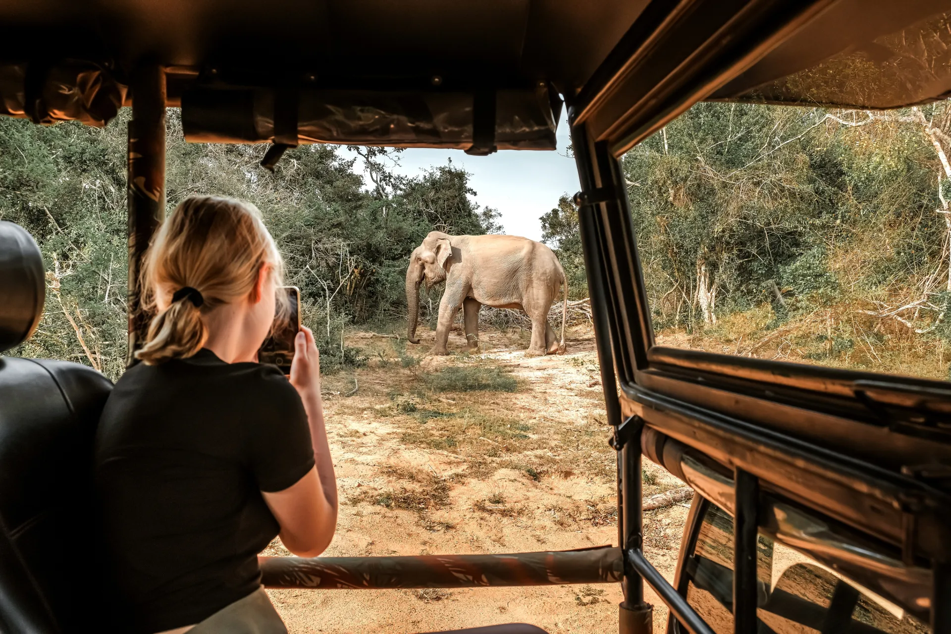 Kenya Safari