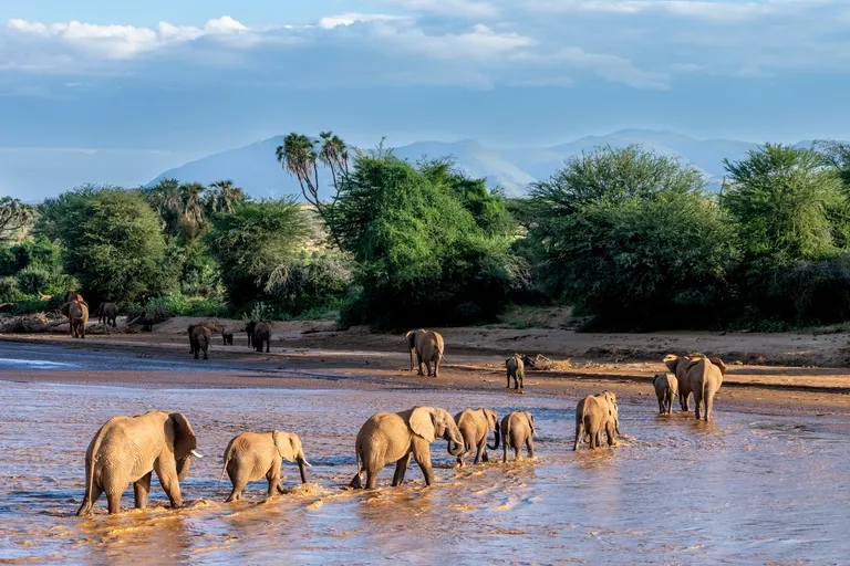 Samburu