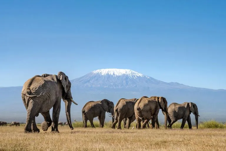 Things to Do in Kenya