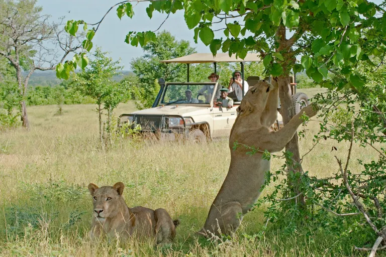 Kenya Responsible Safaris