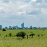 Green Season Safaris in Kenya