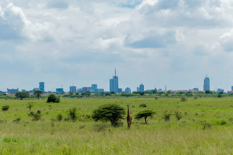 Green Season Safaris in Kenya