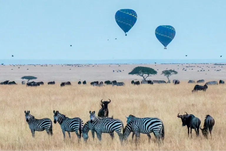 Kenya Luxury Safaris