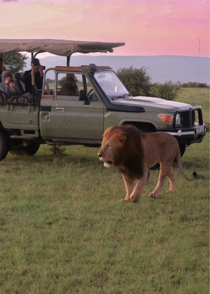Kenya Safari Tour