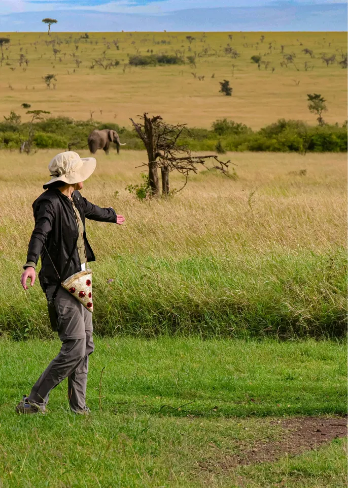 Kenya Safari