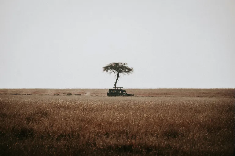 7 day Kenya safari