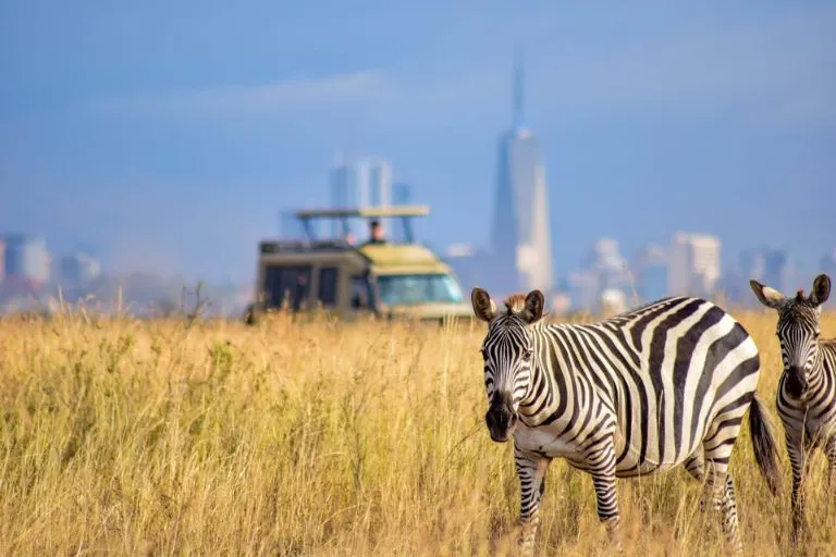 Booking Nairobi National Park Safari