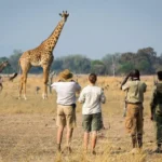 Kenya Walking Safaris