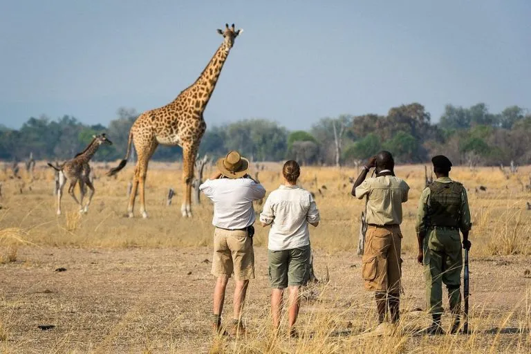 Kenya Walking Safaris