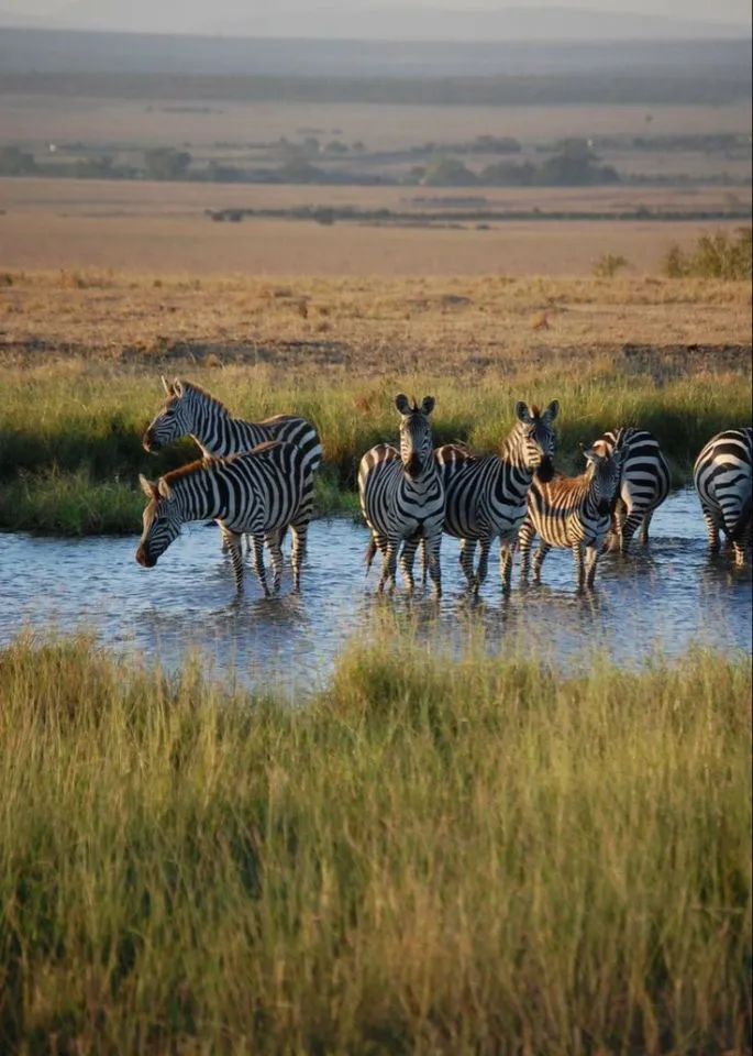 Maasai Mara