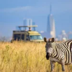 Nairobi National Park Safaris