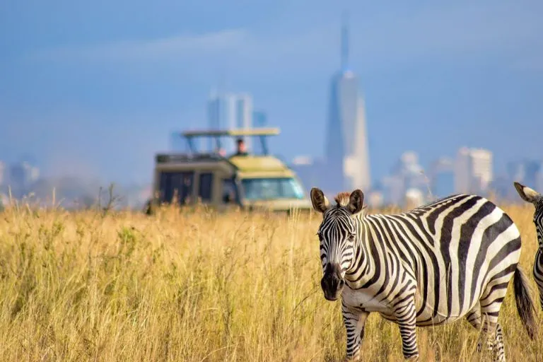 Nairobi National Park Safaris