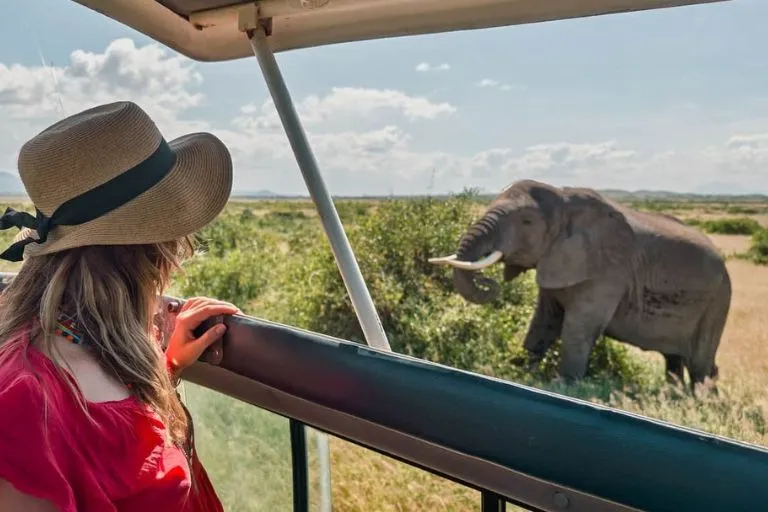 Wildlife Safari in Kenya